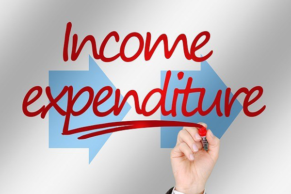 Income expenditure
